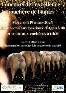 Concours bovins Agen mars 2025