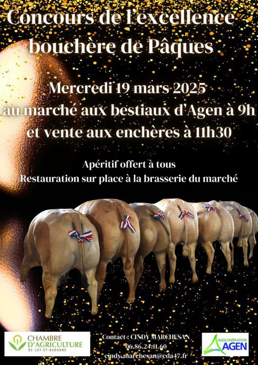 Concours bovins Agen mars 2025
