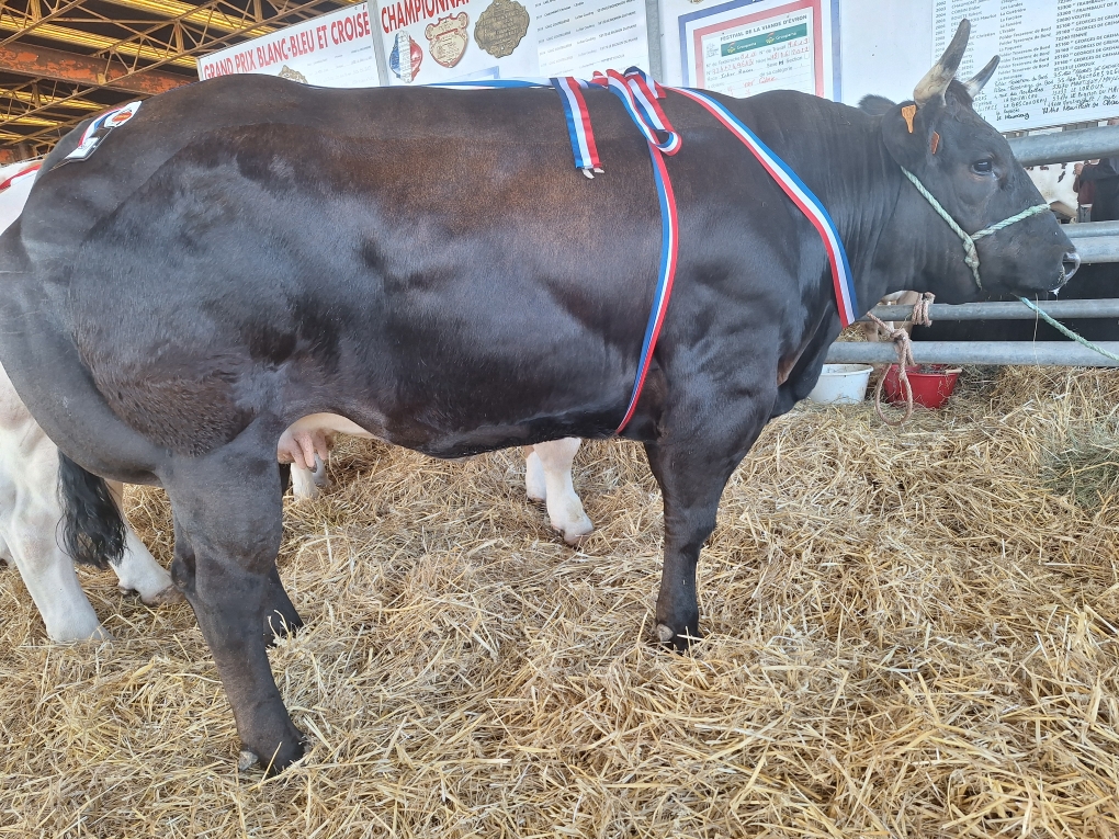 Résultats 2025 - Evron