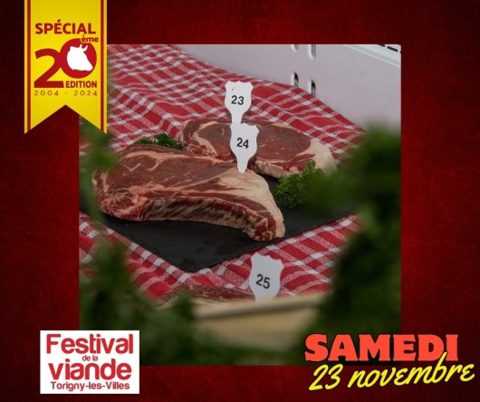 Affiche concours Torigny les Villes