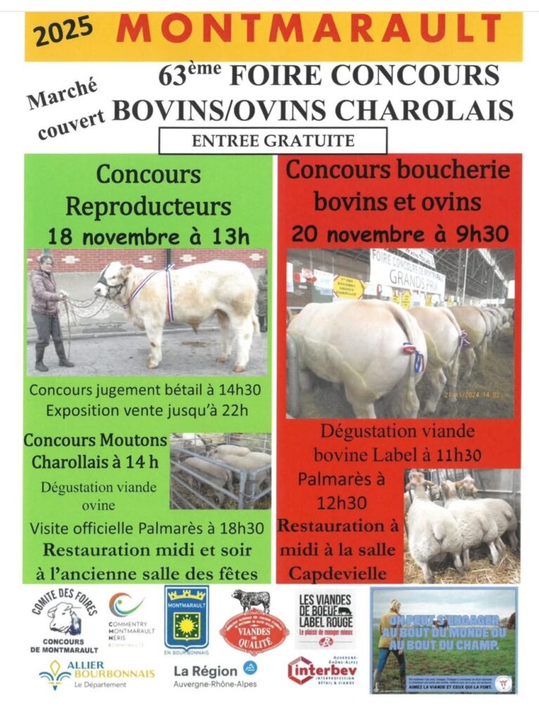 Concours bovins charolais Montmarault