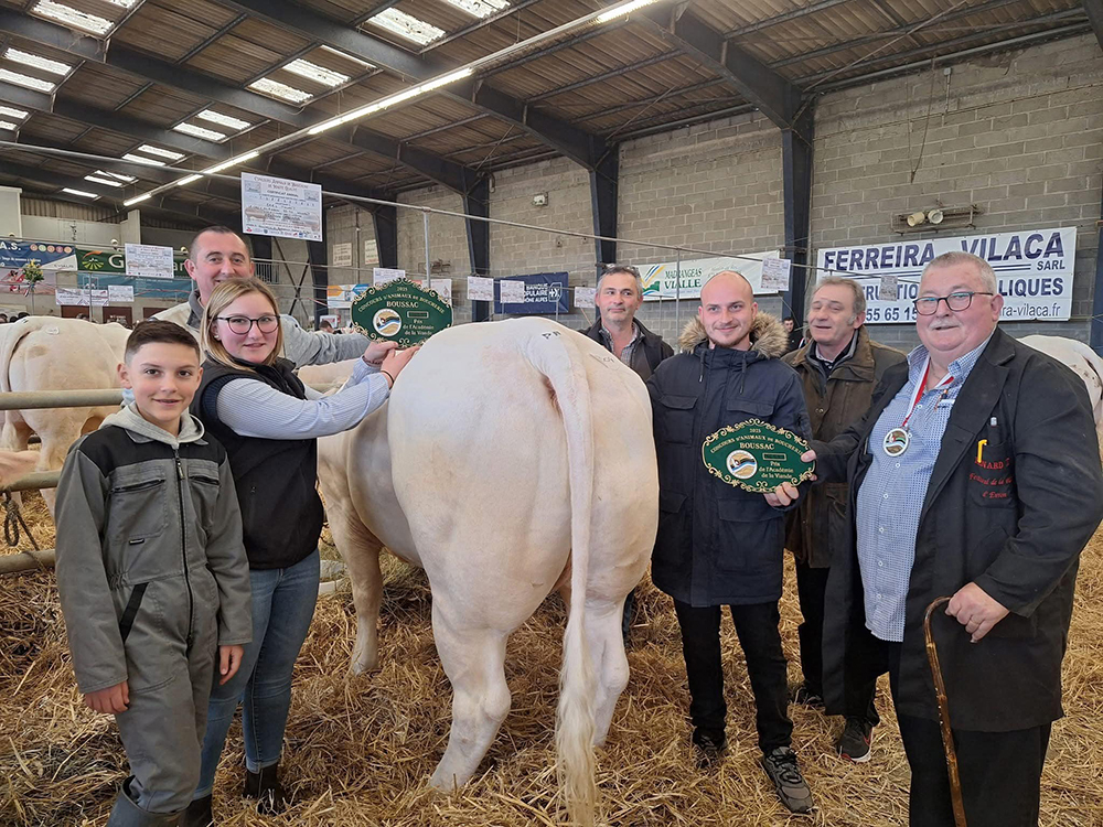 Foire et concours bovins de Boussac
