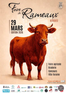 Concours de Bergues vaches