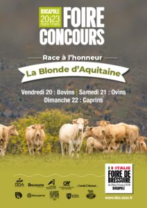 Concours bressuire