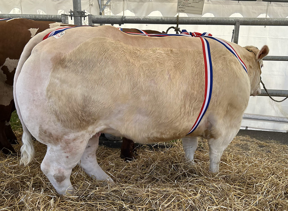 Résultats concours de Mamers bovins 2026