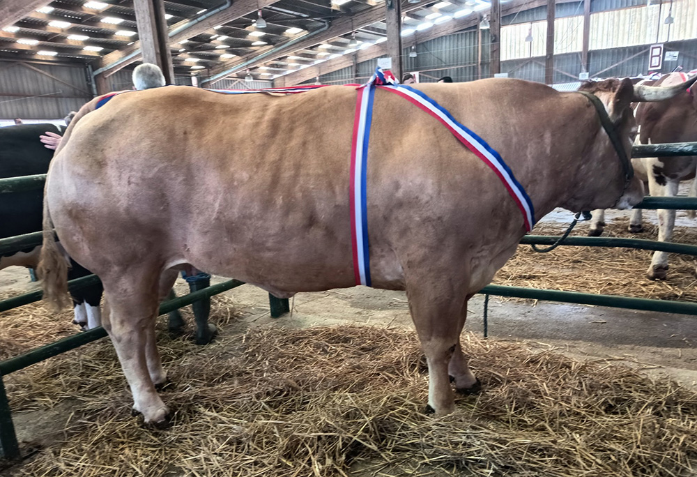 Résultats concours de Rouen bovins 2026